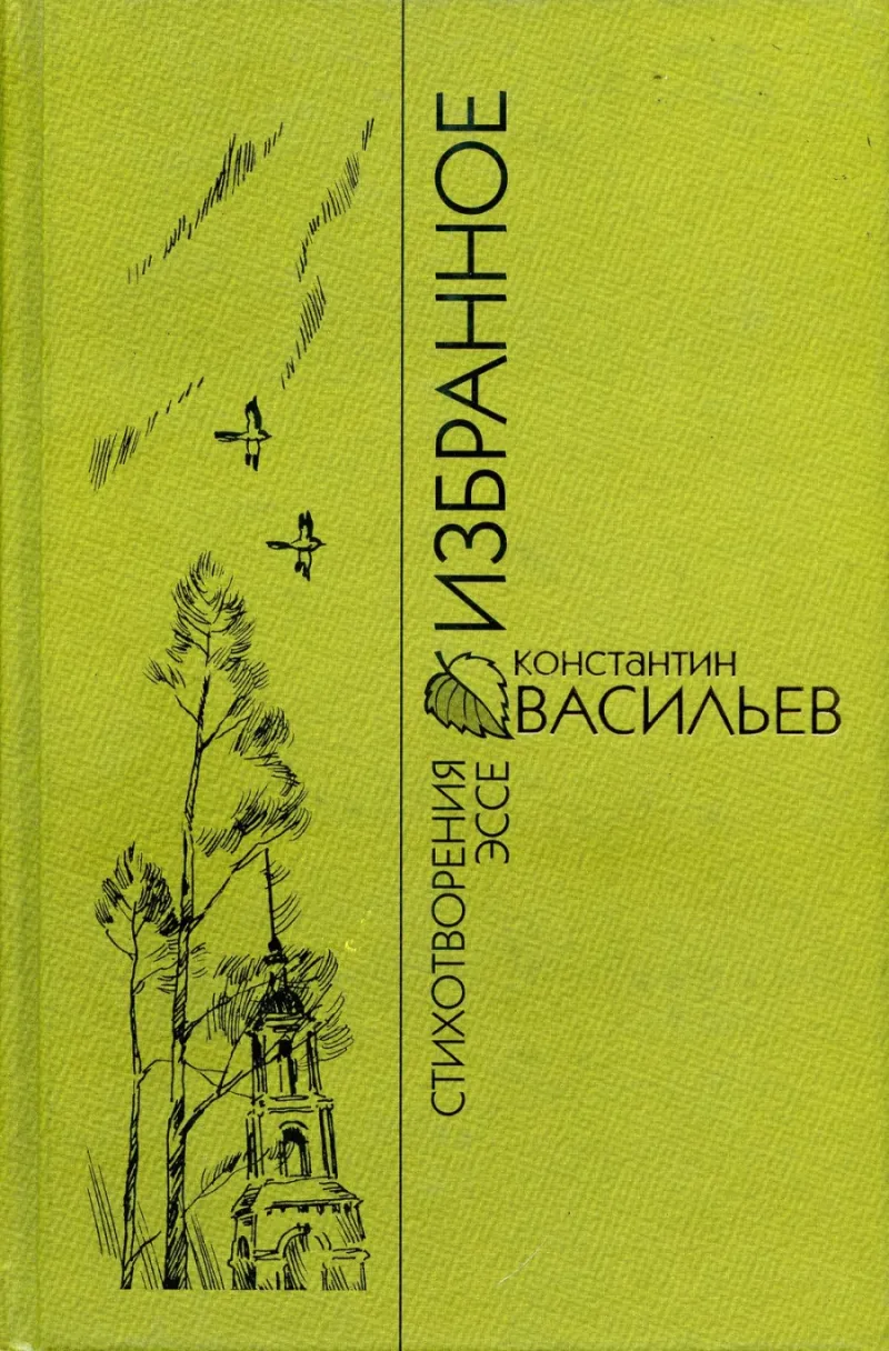 Обложка книги Константина Васильева «Избранное», 2003